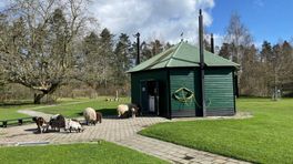 Kinderboerderij in Hoogezand kampt met inbraakgolf: 'Vreselijk, zo blijf je bezig'