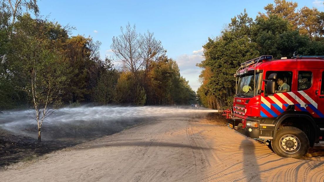 De brandweer blust het vuur in het bos.
