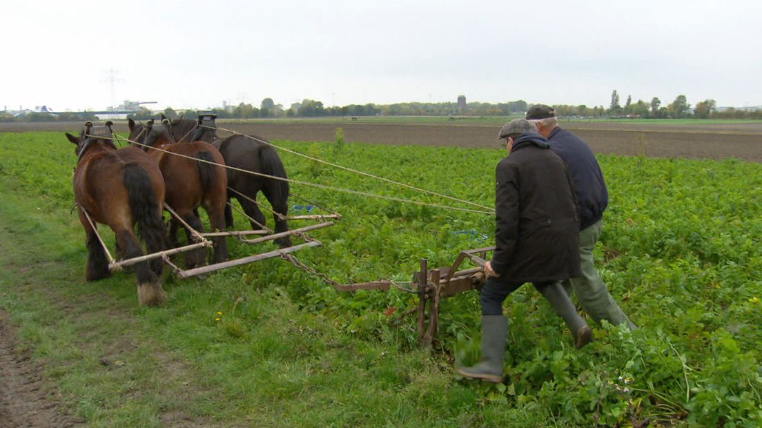 BinnensteBuiten