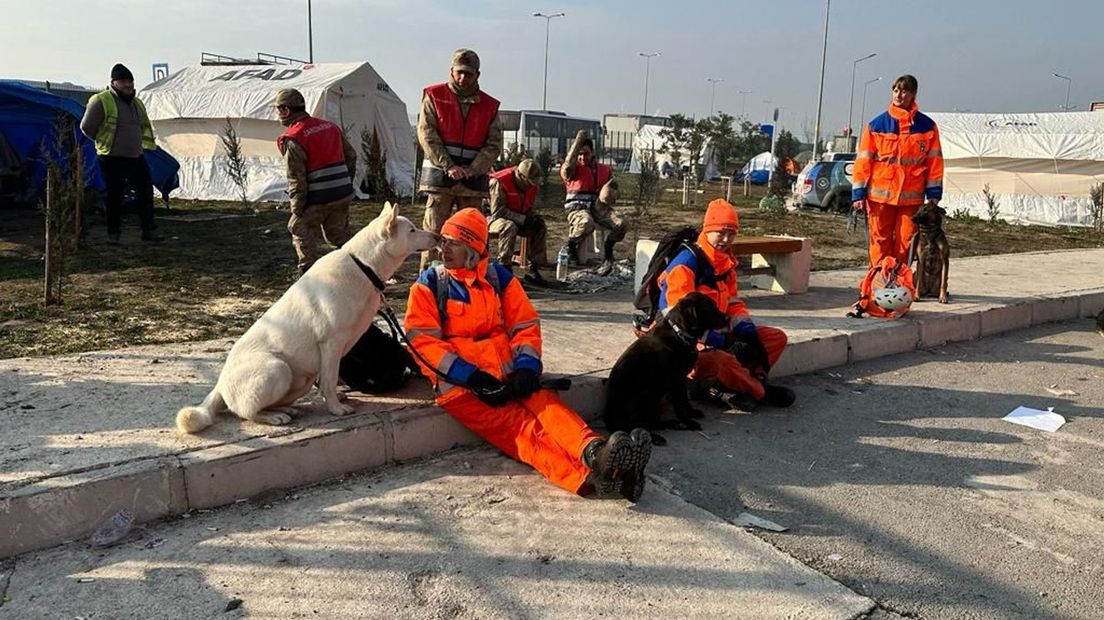 Honden en vrijwilligers van RHWW in Turkije.