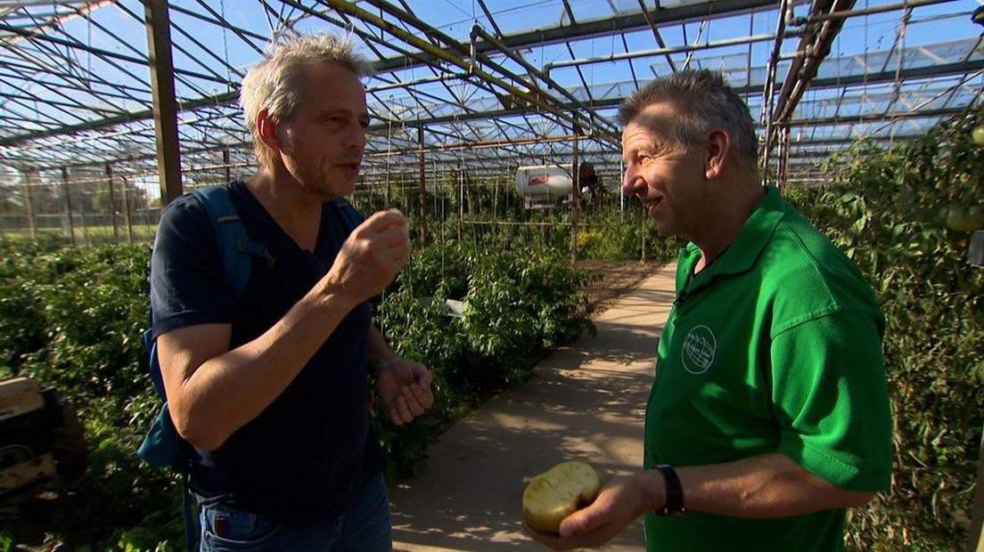 Klaas proeft een ananas-tomaat bij de Groene Schuur.