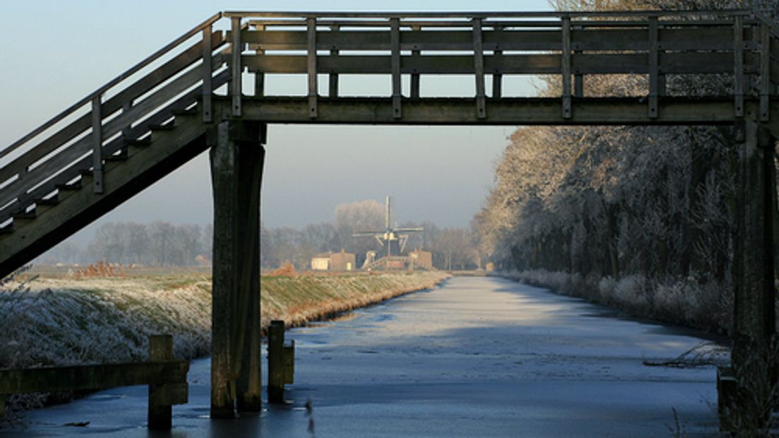 8255587b0ab95d5ec12577dc00370ef1_wpicture1_1.jpg