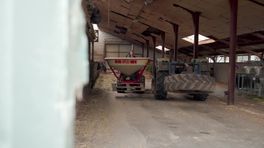 Melkveehouderij Klaasses | Vleesbedrijf Bolscher