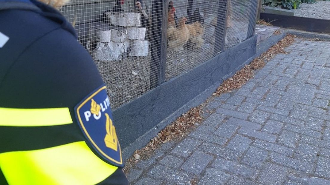 Politie neemt kippen in beslag
