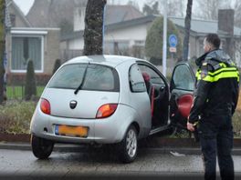 VIDEO: Drie Rotterdamse tieners voor mislukte overval opgepakt na grote klopjacht in Rijsbergen