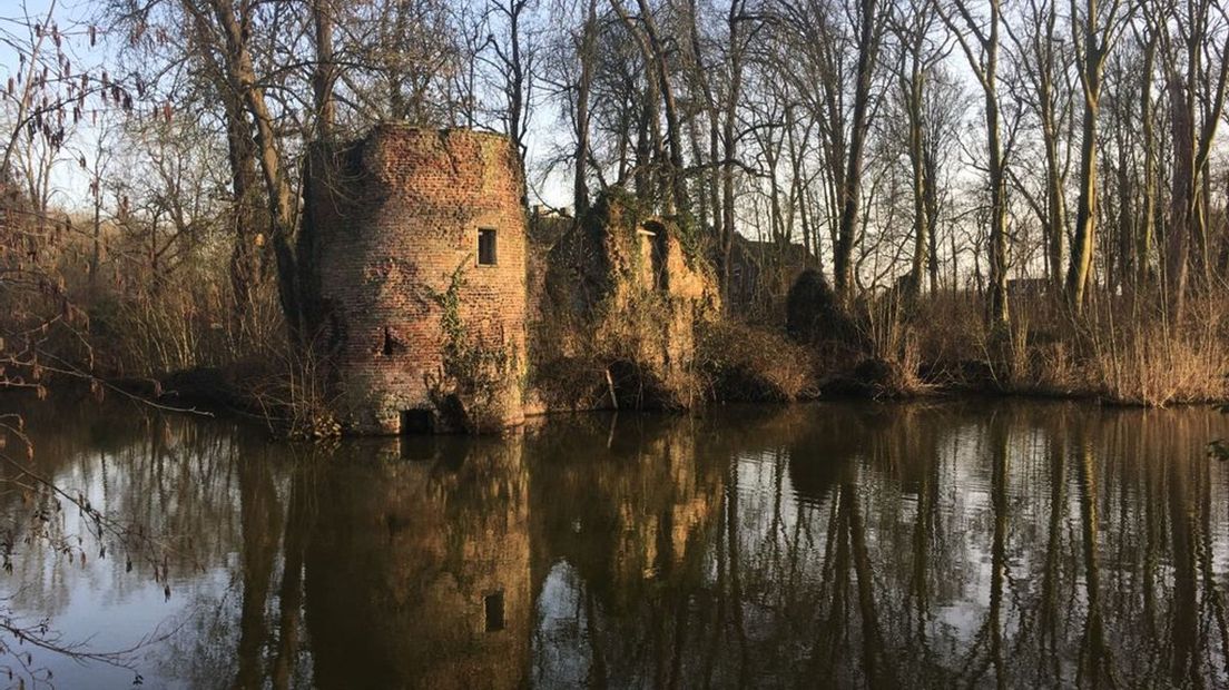 Ruïne van kasteel Brakel.
