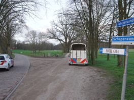 112 nieuws: Vermiste vrouw levend gevonden door politie