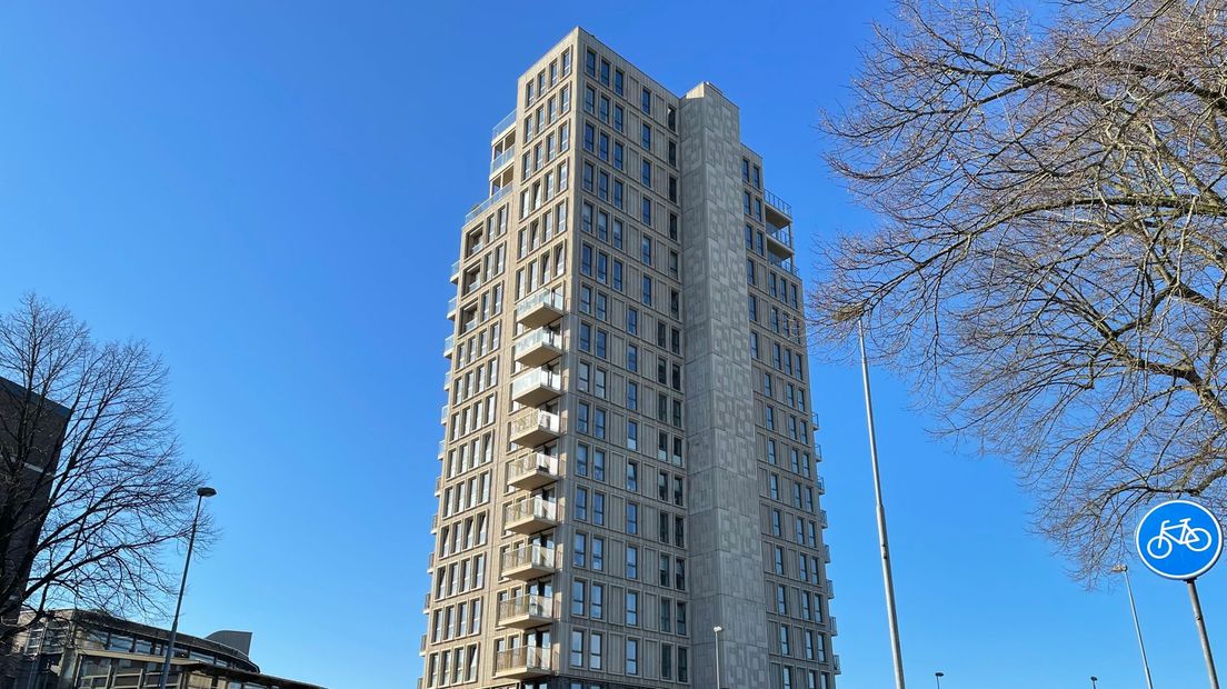 Hondsrugtoren