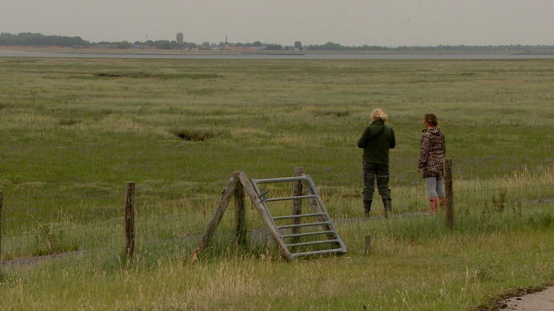 Trots op Zeeland