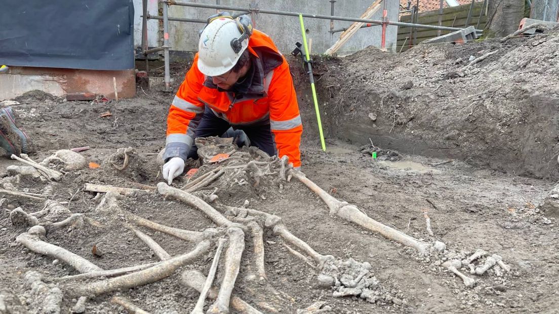 Archeoloog Tim Kauling aan het werk bij de gevonden skeletten