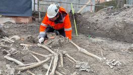Grote en bijzondere archeologische vondst in Rottum: 31 skeletten
