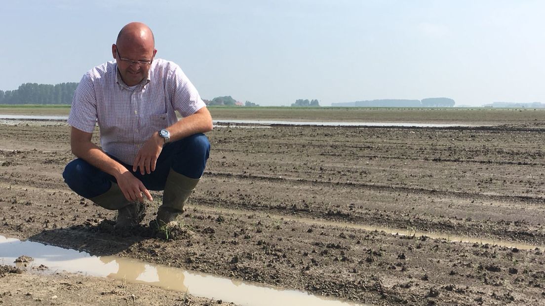 'Dit is wel extreem veel water in korte tijd'