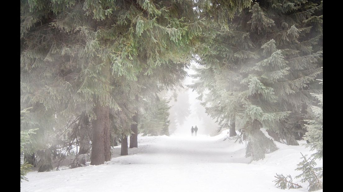 Winterwandeling