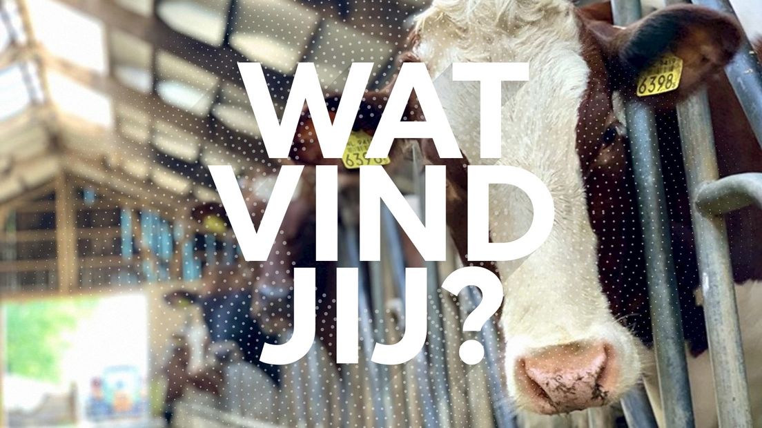 Wat vind jij