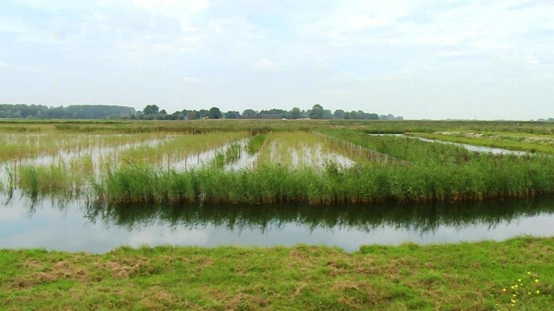 Bypass-zone Kampen
