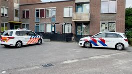 Geen dna van Gino in woning Donny M. gevonden: 'Vreemd'