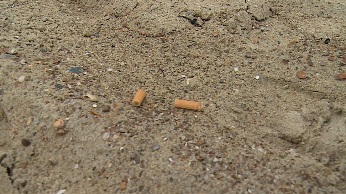 Rookvrij strand