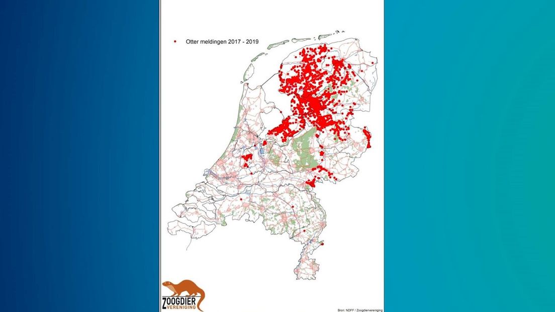 De otterpopulatie in Nederland