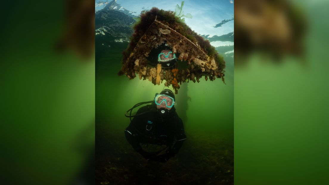 Marloes Otten uit Brouwershaven is in de prijzen gevallen bij het NK Onderwaterfotografie