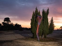 Into Nature hoopt met het thema 'tijd' bezoekers te verrassen en te prikkelen