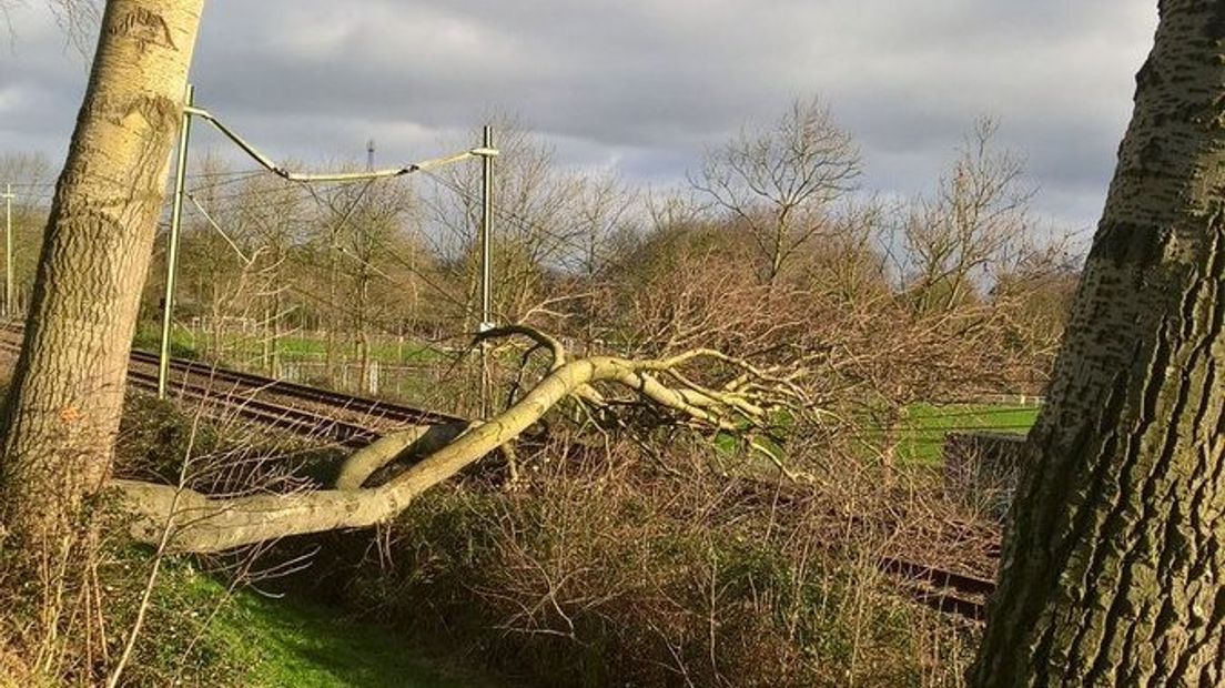 Boom op spoor bij Oost-Souburg