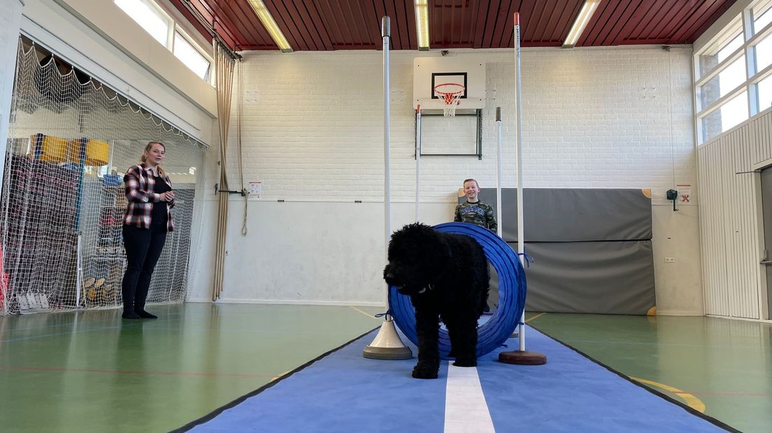 Hond Suus aan het werk met een van de leerlingen