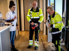 Terugloop vrijwilligers Dierenambulance Twente heeft dramatische gevolgen