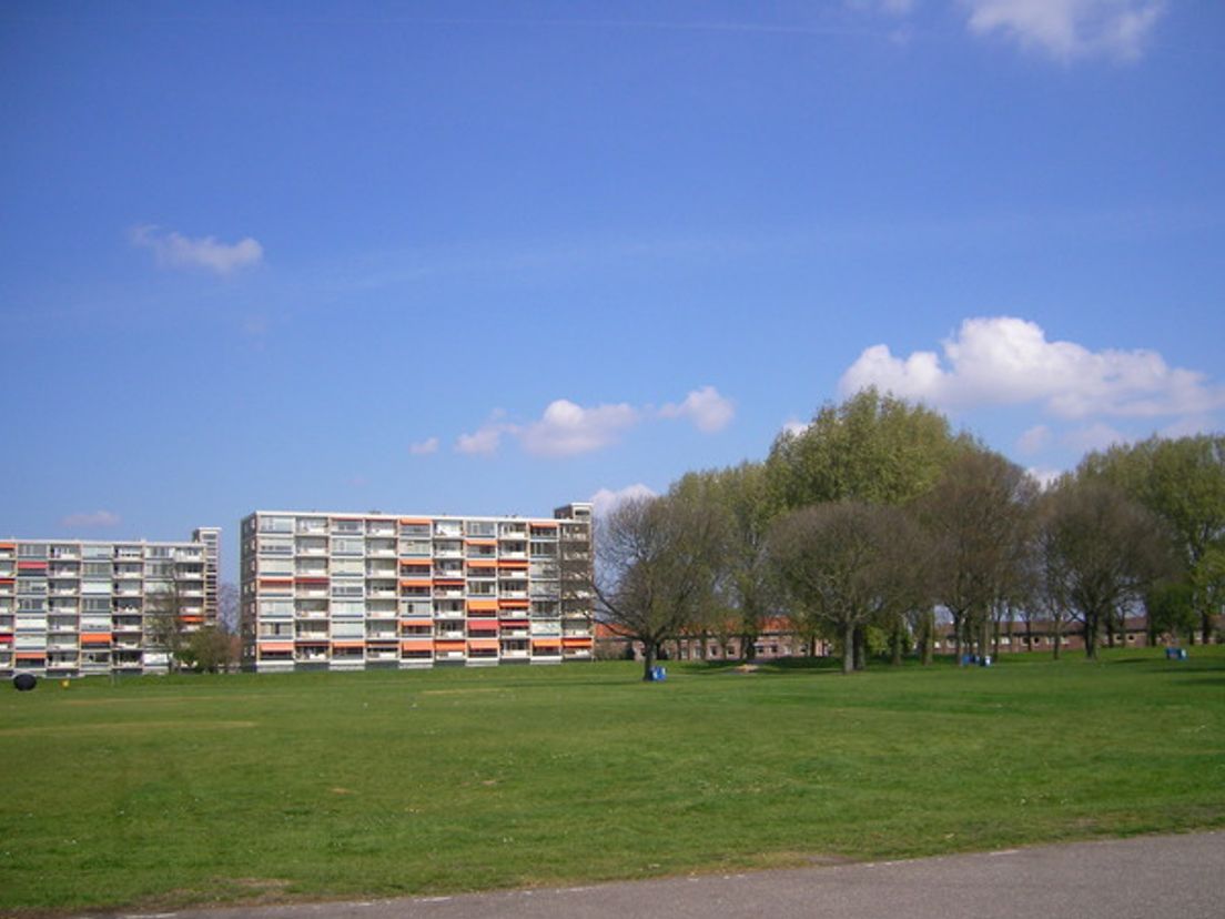 maasboulevard.cropresize.tmp.jpg