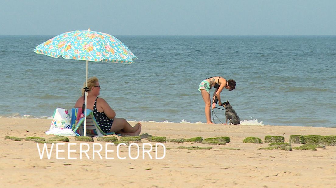 Zeeland Nu