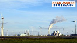 De tops en flops van de Eemshaven: van verrotte bananen tot wereldmerk Google