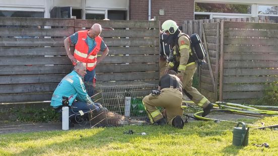 Hond overleden na woningbrand