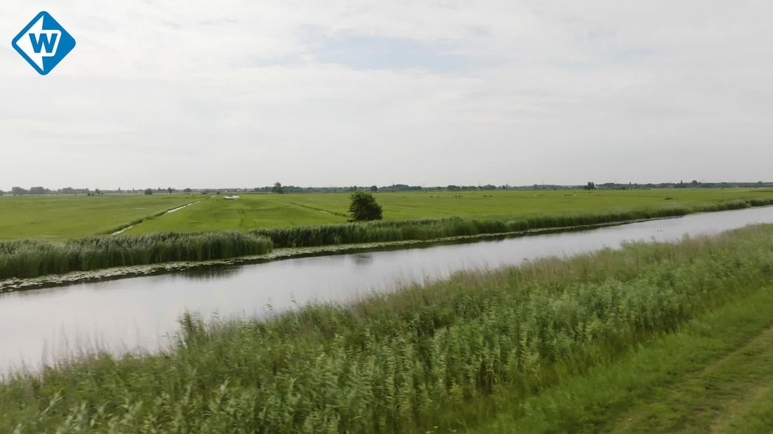 Vogelvrij