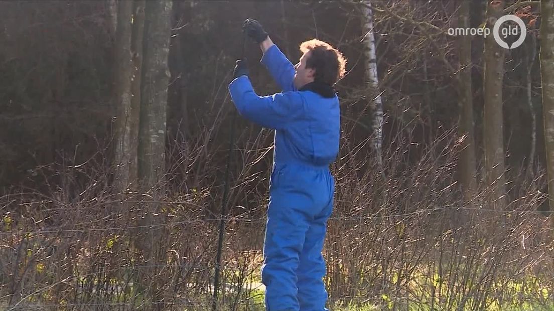 GLD Nieuws
