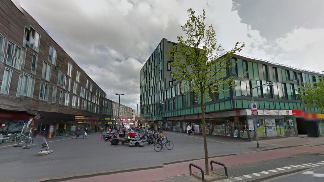 De Beren in Stad