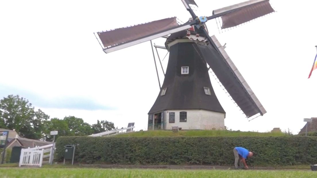 Rust in warm Drenthe is koren op de molen voor Henk Wilms - RTV Drenthe