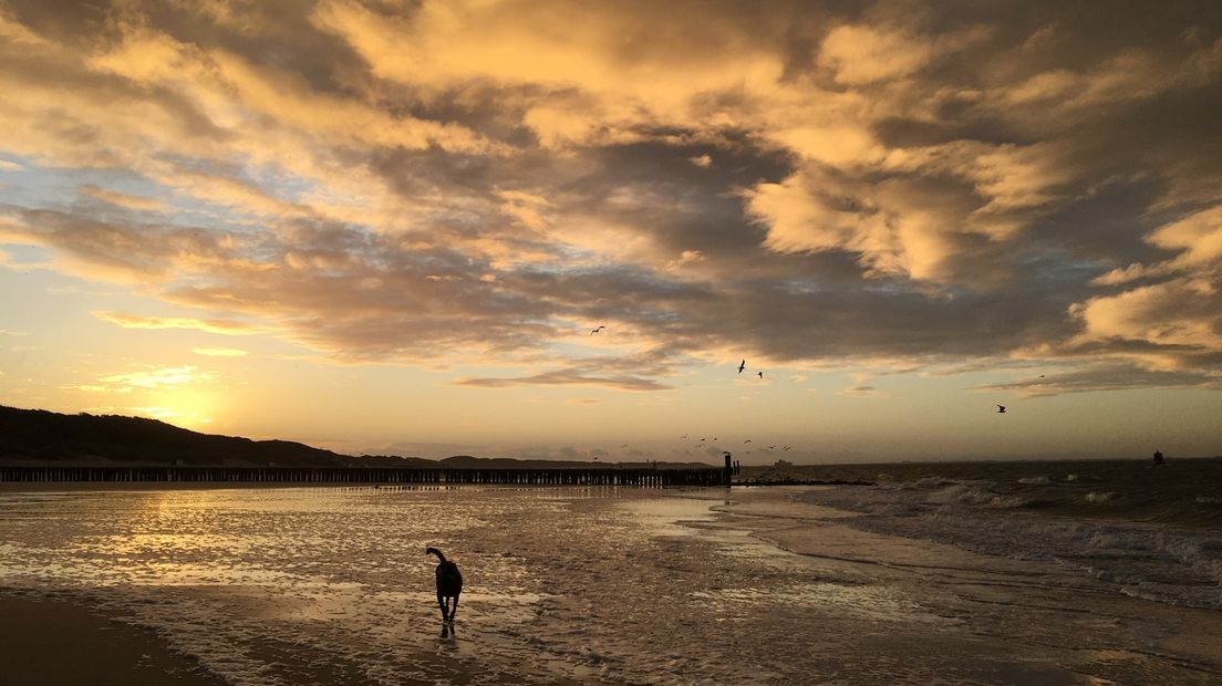 Grijze wolken boven Zoutelande