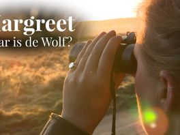 Samenleven met de wolf: 'Wen er maar aan!'