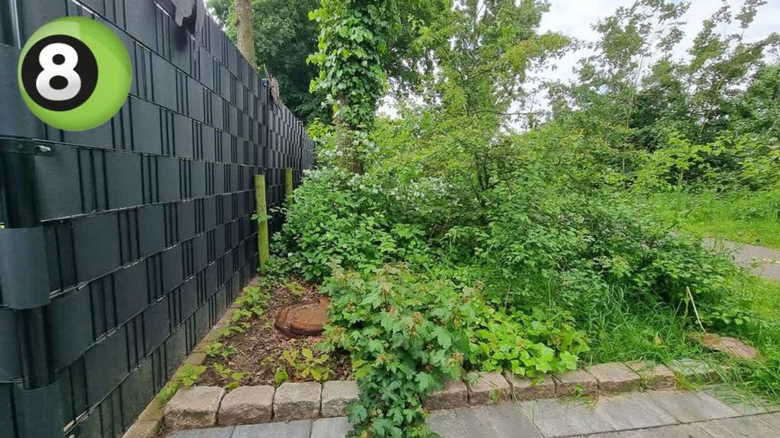 Gemeente sleept Ulftenaar die bomen kapt voor de rechter