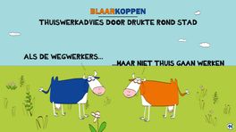 Blaarkoppen denken na over thuiswerken