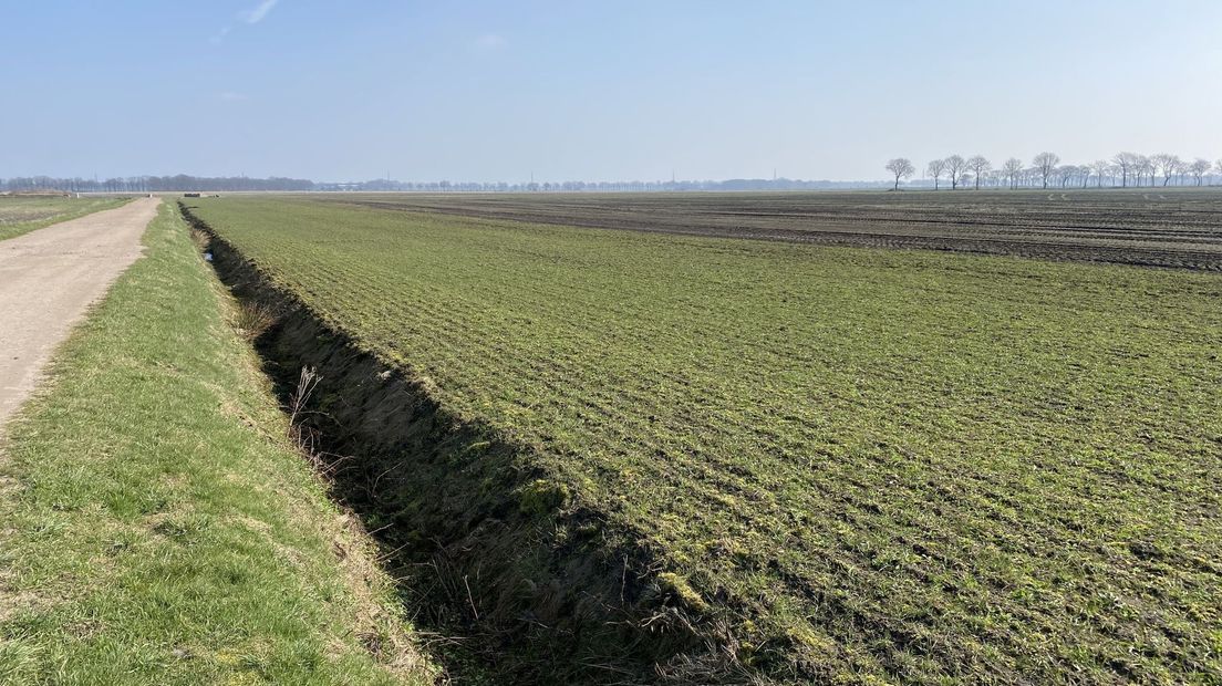 In de verte moet een deel van het zonnepark in Zuidvelde komen