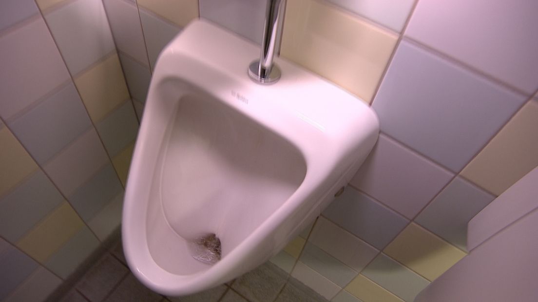 50PLUS wil meer gratis openbare toiletten in Terneuzen