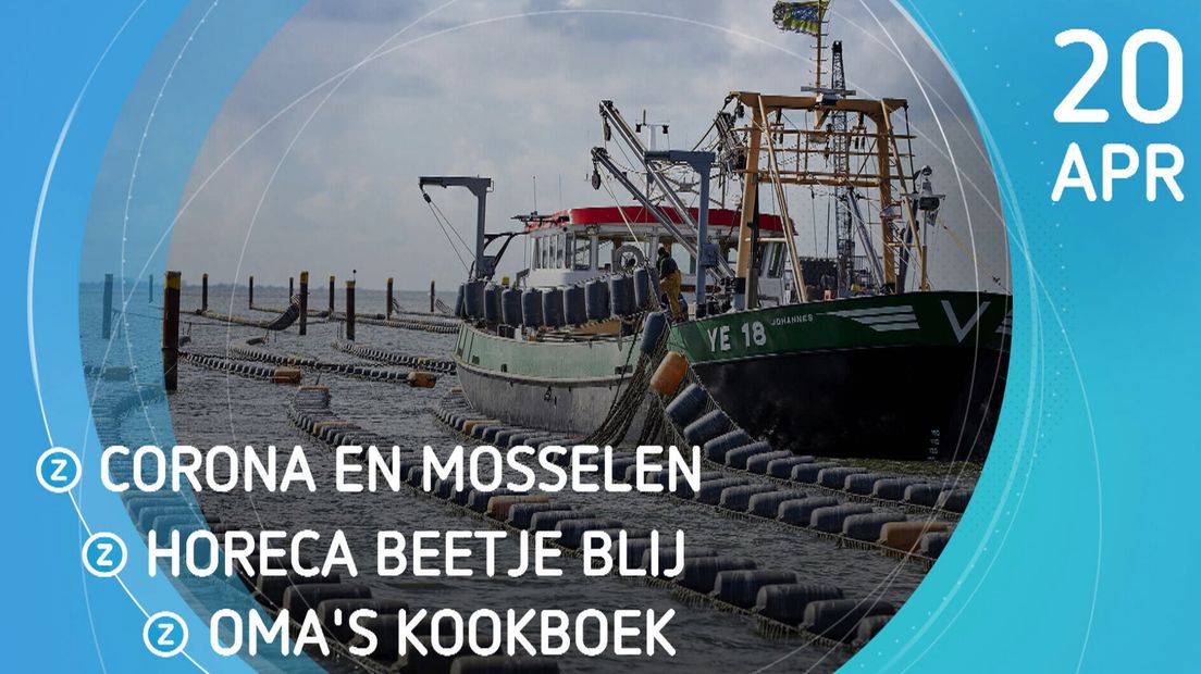 Zeeland Nu