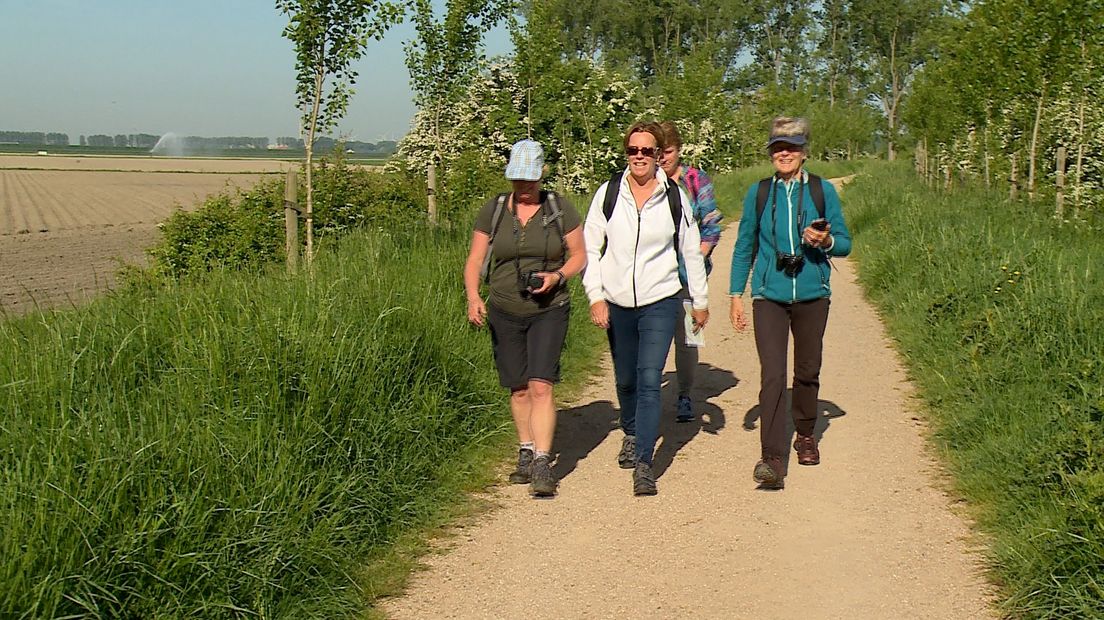 'Borsele is het Toscane van Zeeland'
