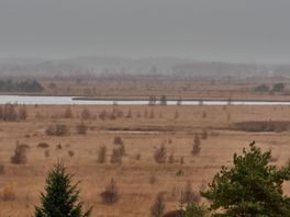 Nog geen duidelijkheid over natuurkwaliteit Natura 2000-gebieden