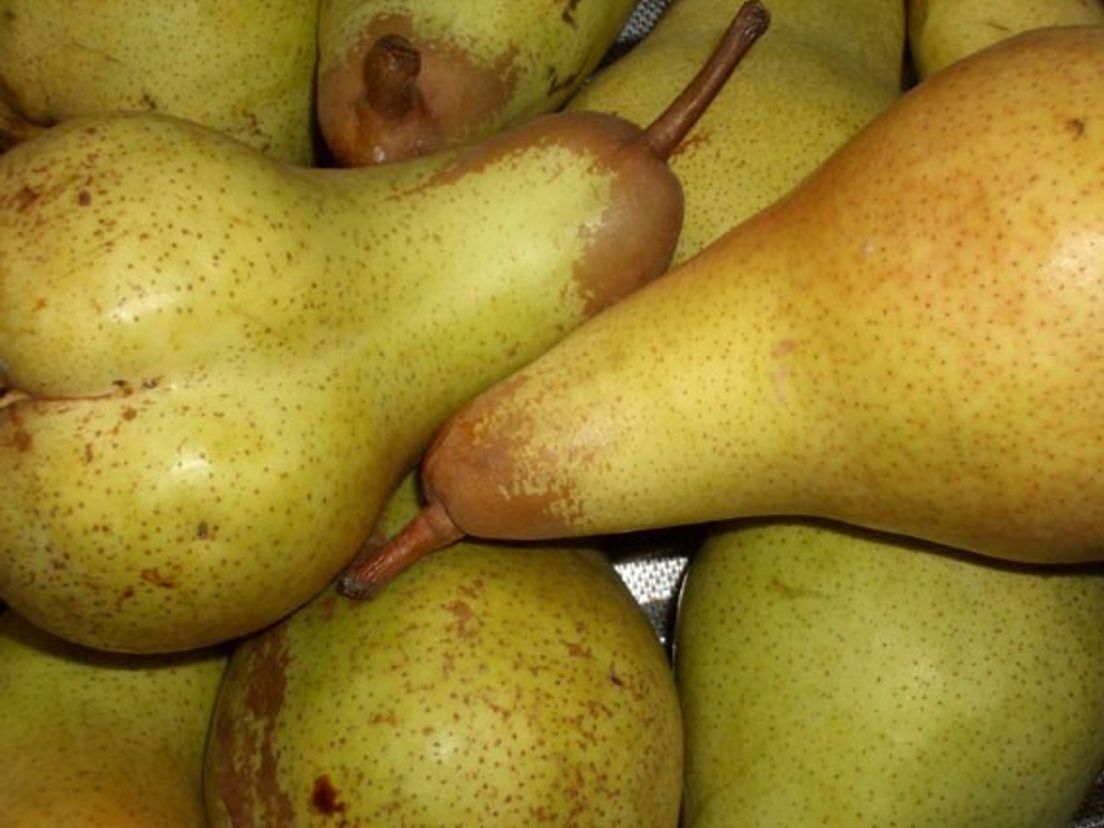 poires.cropresize.tmp.jpg