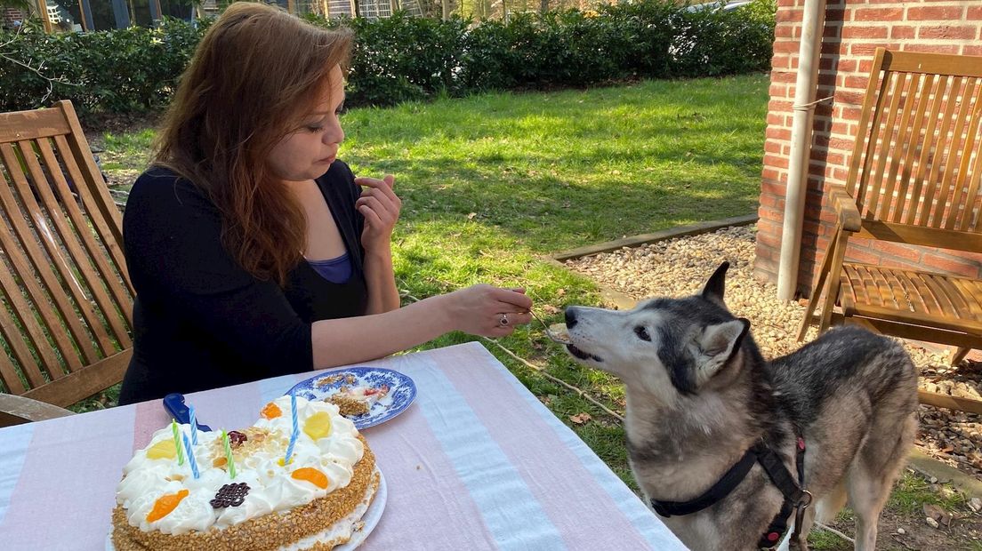 Oudste Husky van Nederland Karel (18) is jarig