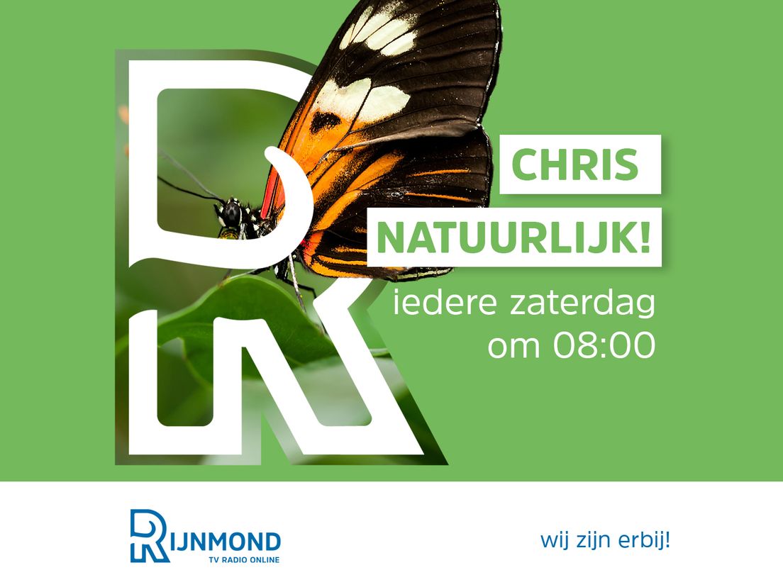 Chris Natuurlijk