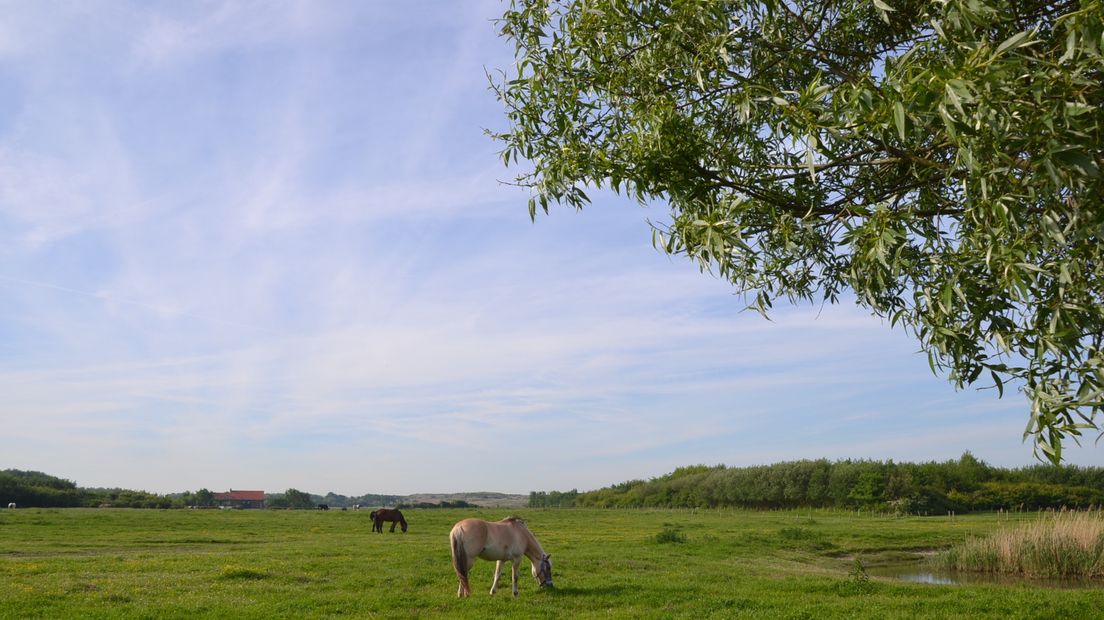 Een prachtige lentedag in Koudekerke