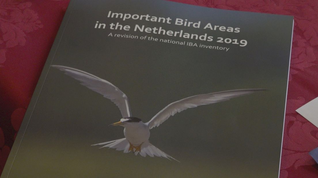 Het rapport van de Vogelbescherming