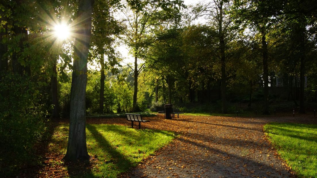 Algemene archieffoto van Park Toorenvliedt uit 2014